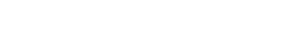 Datadestruction logo